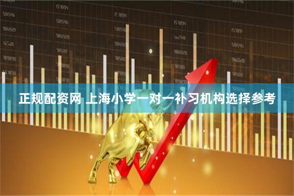 正规配资网 上海小学一对一补习机构选择参考