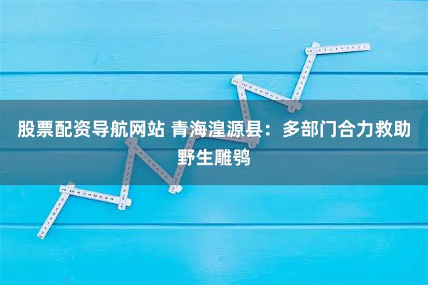 股票配资导航网站 青海湟源县：多部门合力救助野生雕鸮